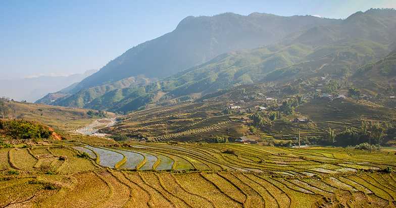 vietnam-sapa-rice-field