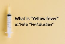 โรคไข้เหลือง (Yellow fever)