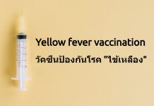 วัคซีนป้องกันโรคไข้เหลือง (Yellow fever vaccination)