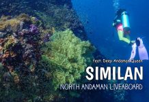 สิมิลัน เกาะสวรรค์ของน้ำดำน้ำจากโลก (Let’s go Similan)