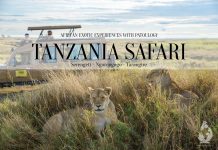 ครั้งหนึ่งของชีวิตกับซาฟารีที่แทนซาเนีย (Tanzania Safari)