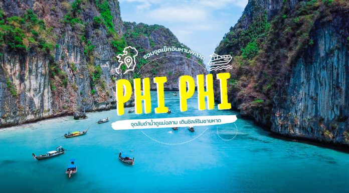 รวมจุดเช็คอินห้ามพลาด! เกาะพีพี จุดลับดำน้ำดูแม่ฉลาม เดินชิลล์ริมชายหาด